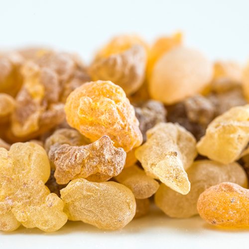 Boswellia_Serrata.jpg